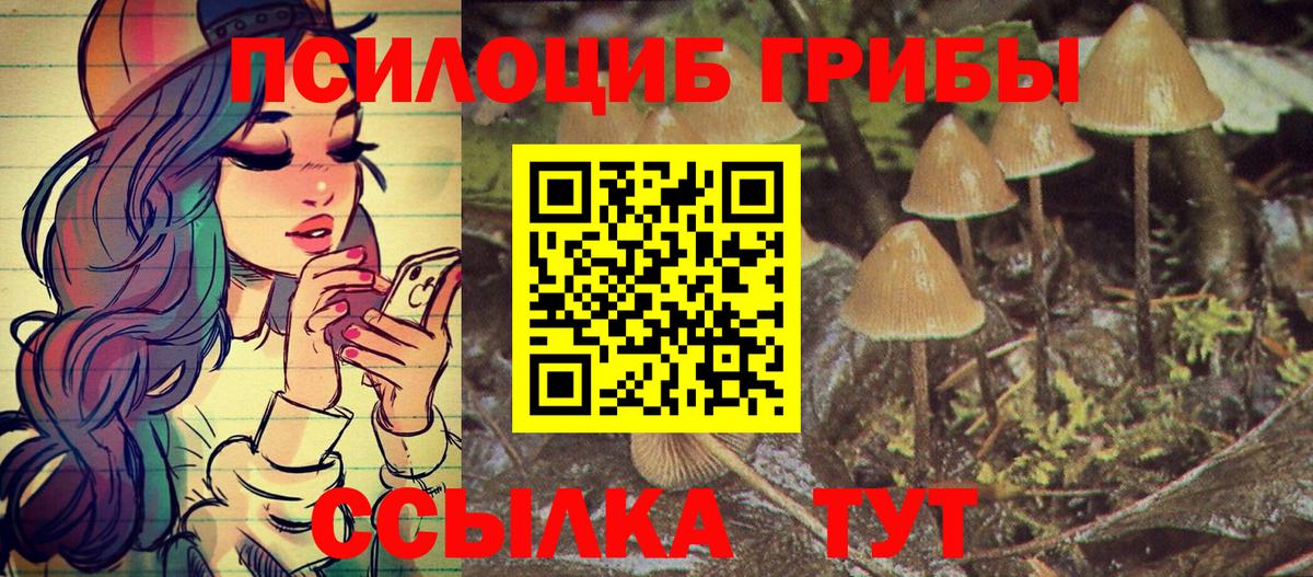 Северодвинск  Галлюциногенные грибы мицелий  Вход с VPN 