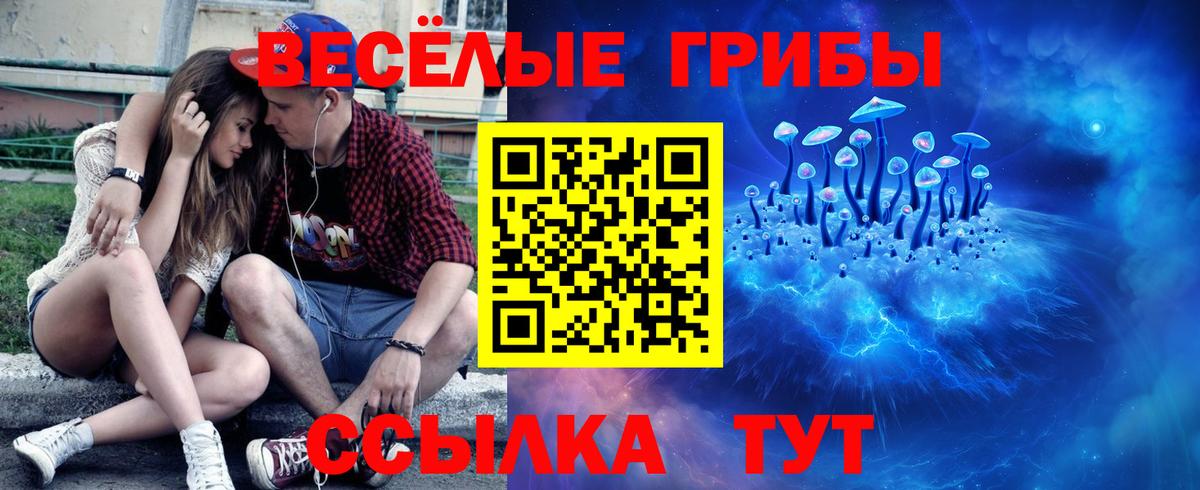 Галлюциногенные грибы Cubensis Северодвинск